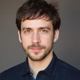 Willem Theodorus Pronk